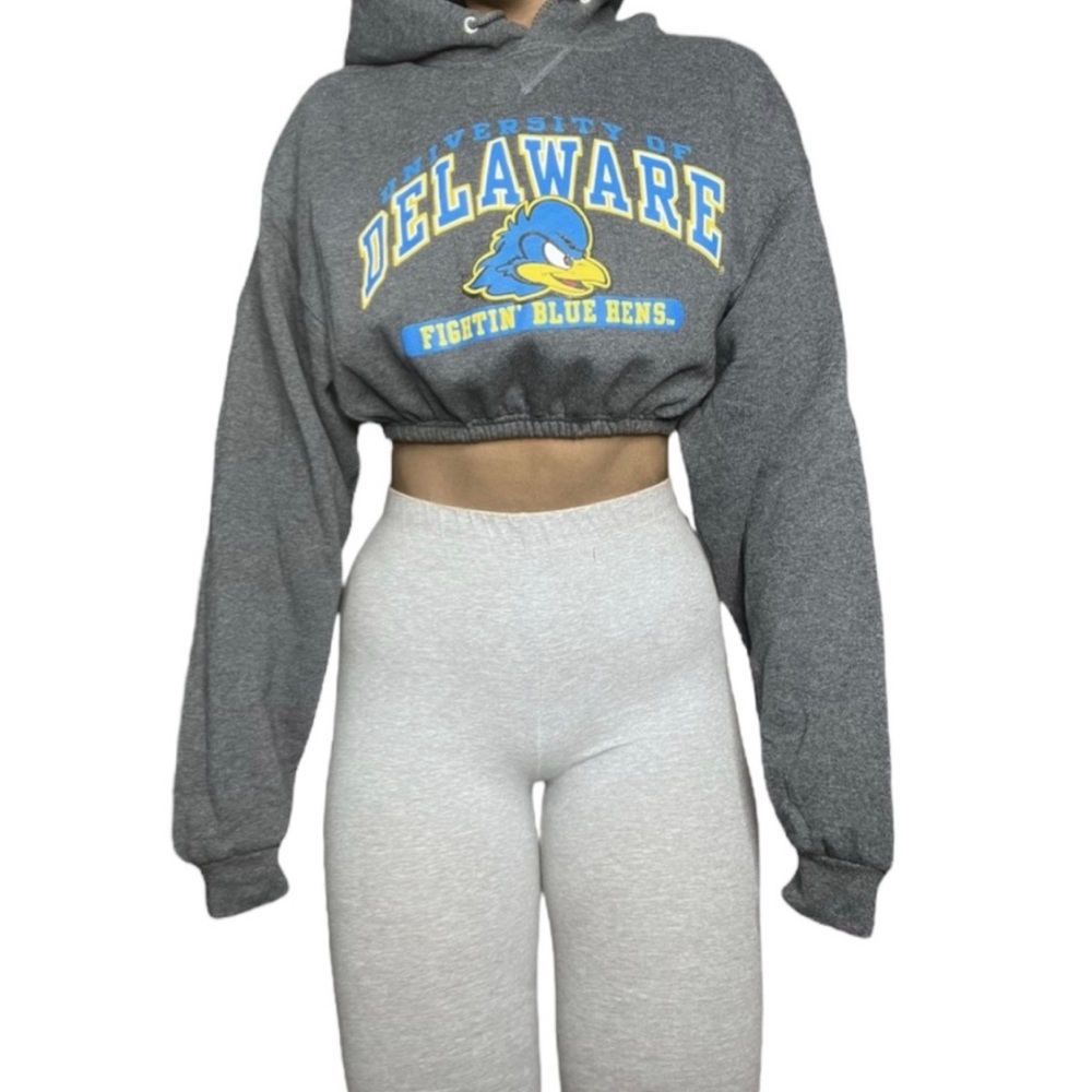 University of Delaware Reworked Crop Hoodie